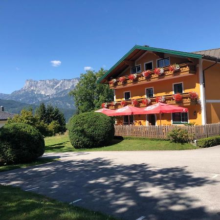 Pension David Puch bei Hallein Dış mekan fotoğraf