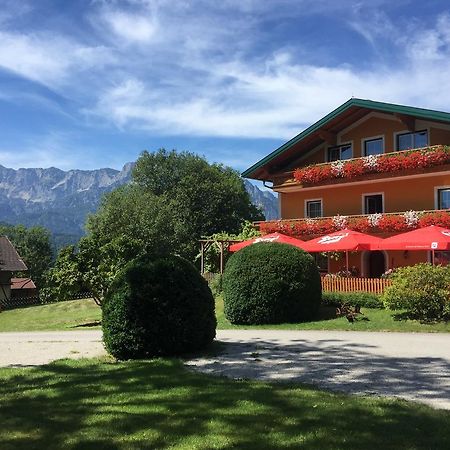 Pension David Otel Puch bei Hallein Dış mekan fotoğraf