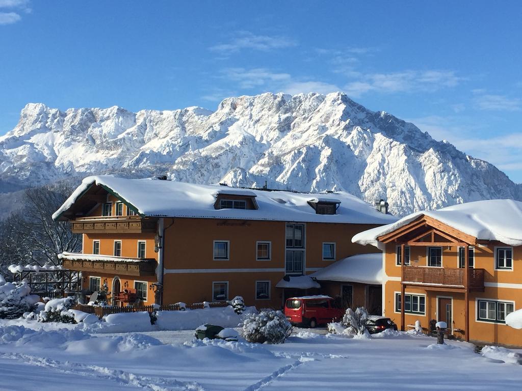 Pension David Otel Puch bei Hallein Dış mekan fotoğraf