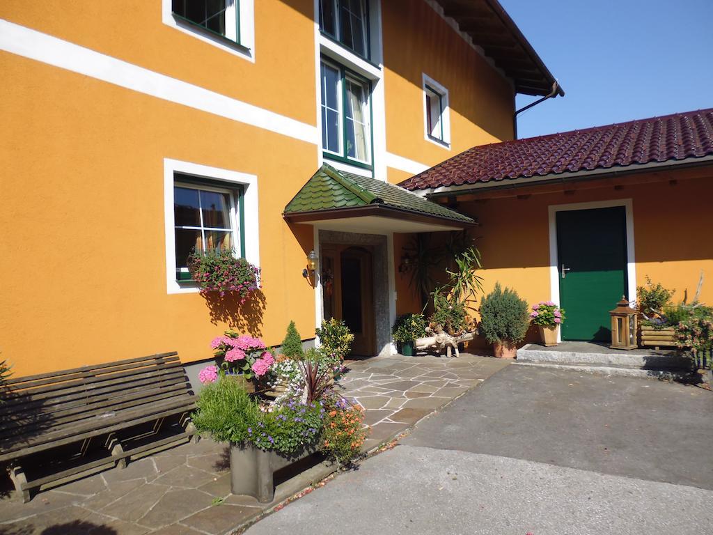 Pension David Puch bei Hallein Dış mekan fotoğraf