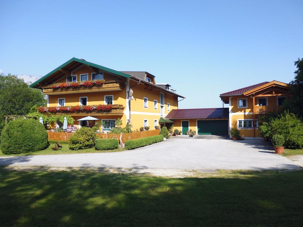 Pension David Puch bei Hallein Dış mekan fotoğraf
