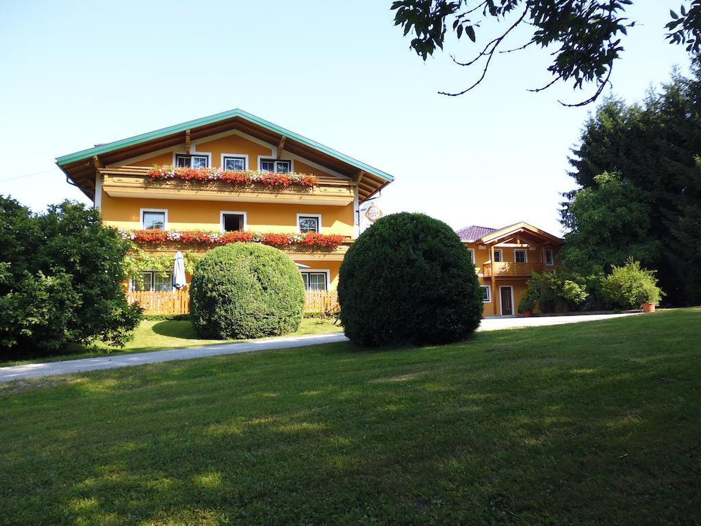 Pension David Puch bei Hallein Dış mekan fotoğraf