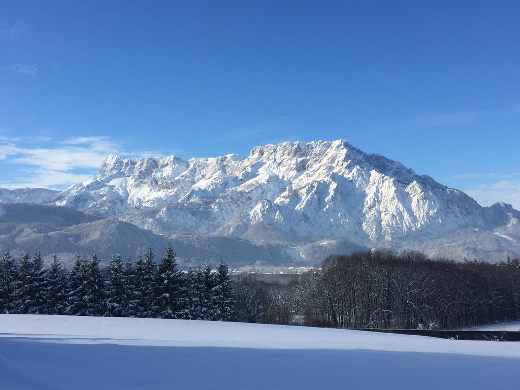 Pension David Otel Puch bei Hallein Dış mekan fotoğraf