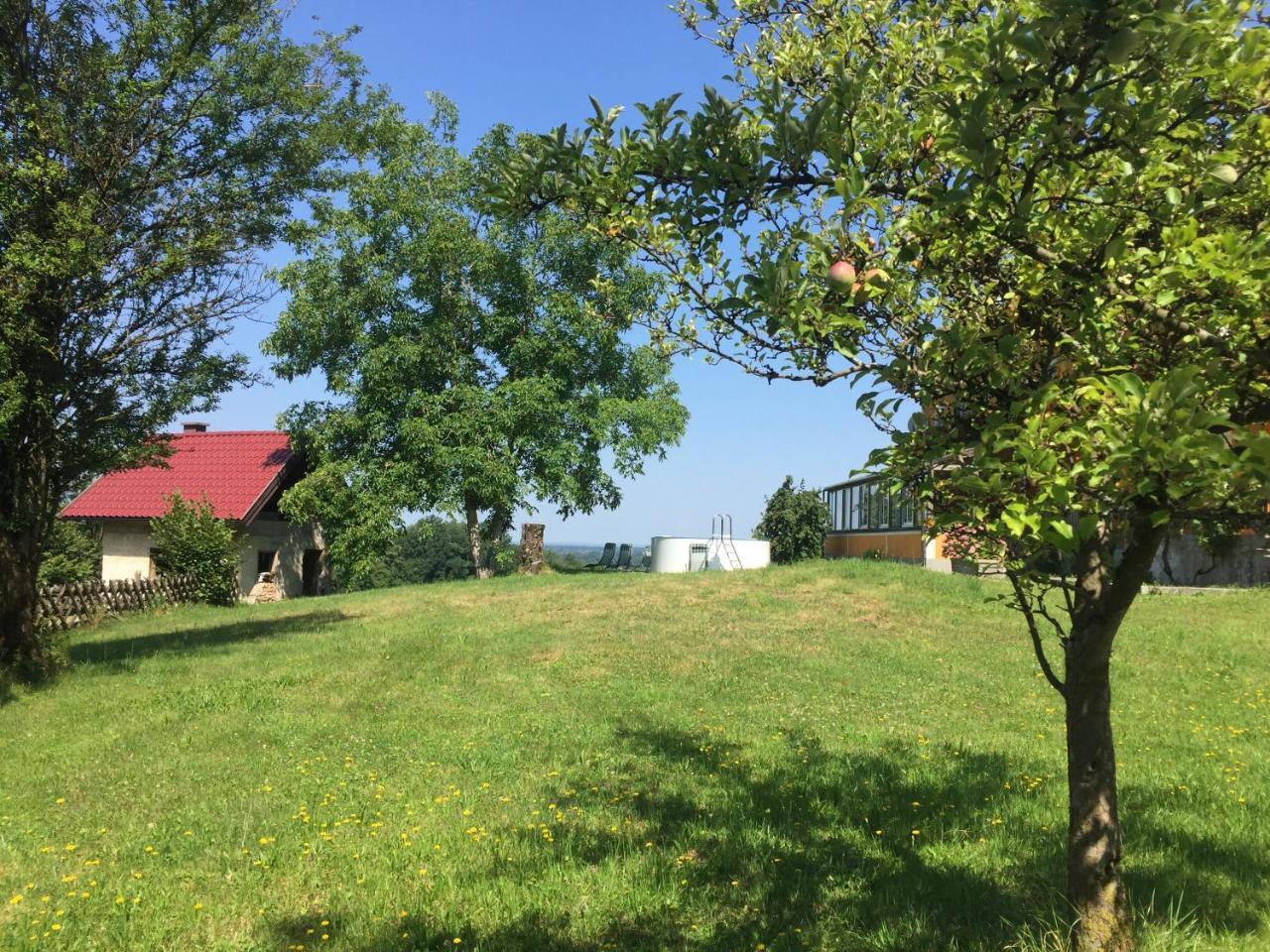 Pension David Puch bei Hallein Dış mekan fotoğraf