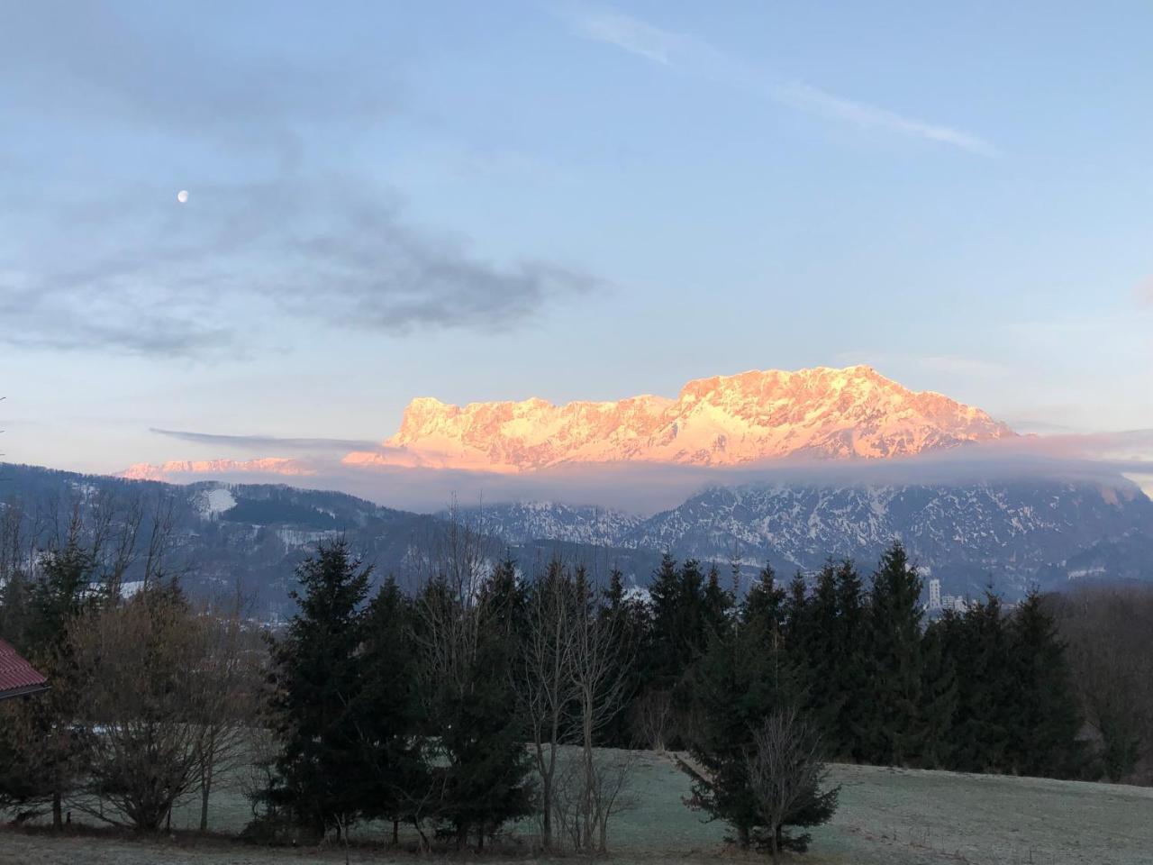 Pension David Otel Puch bei Hallein Dış mekan fotoğraf